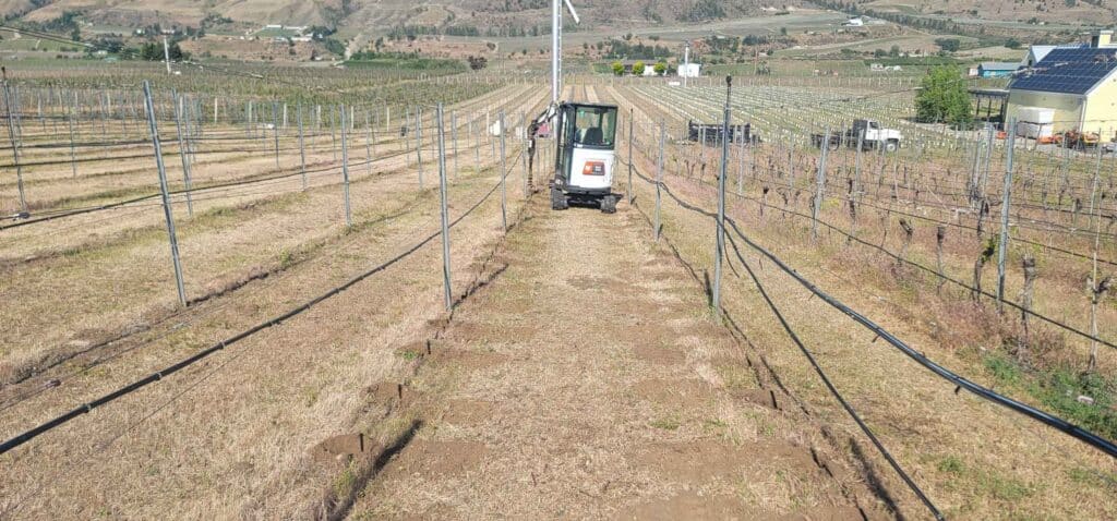 Barcon Services Auger Replant