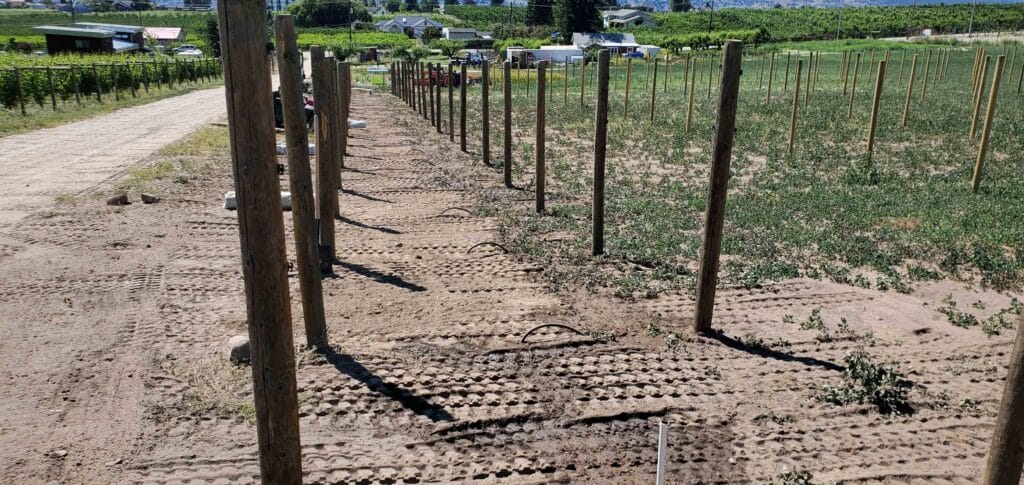 Barnay Contracting - Barcon - Trenching and Backfilling