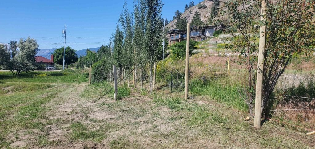 Barnay Contracting - Barcon - Fencing