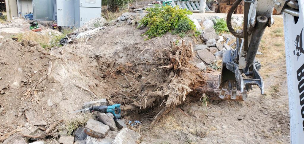 Barnay Contracting - Barcon Yard Cleanup Brush and Stump Removal
