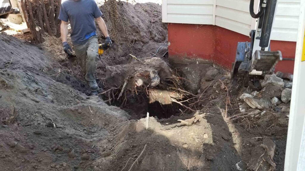 Barnay Contracting - Barcon Yard Cleanup Brush and Stump Removal