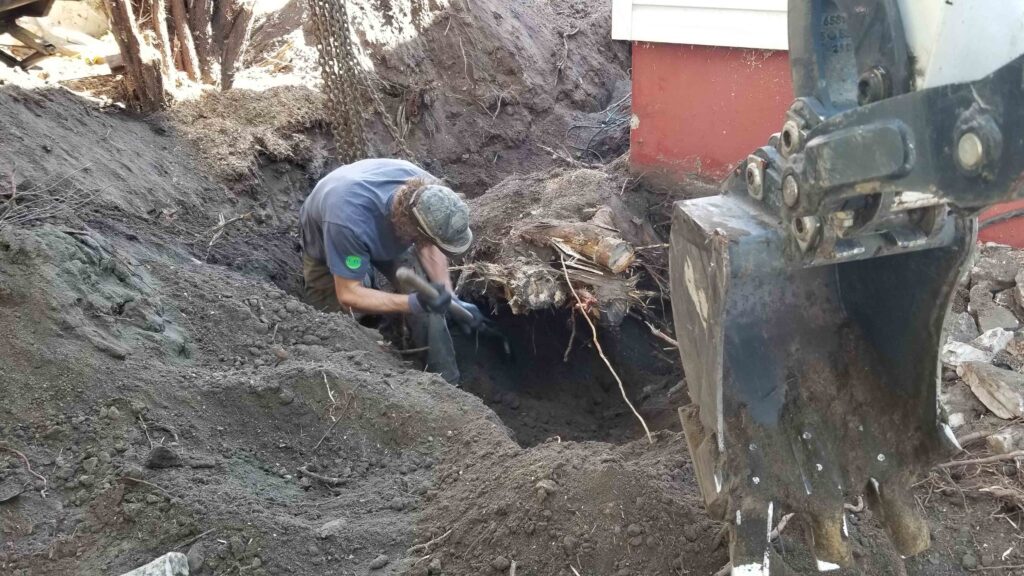Barnay Contracting - Barcon Yard Cleanup Brush and Stump Removal