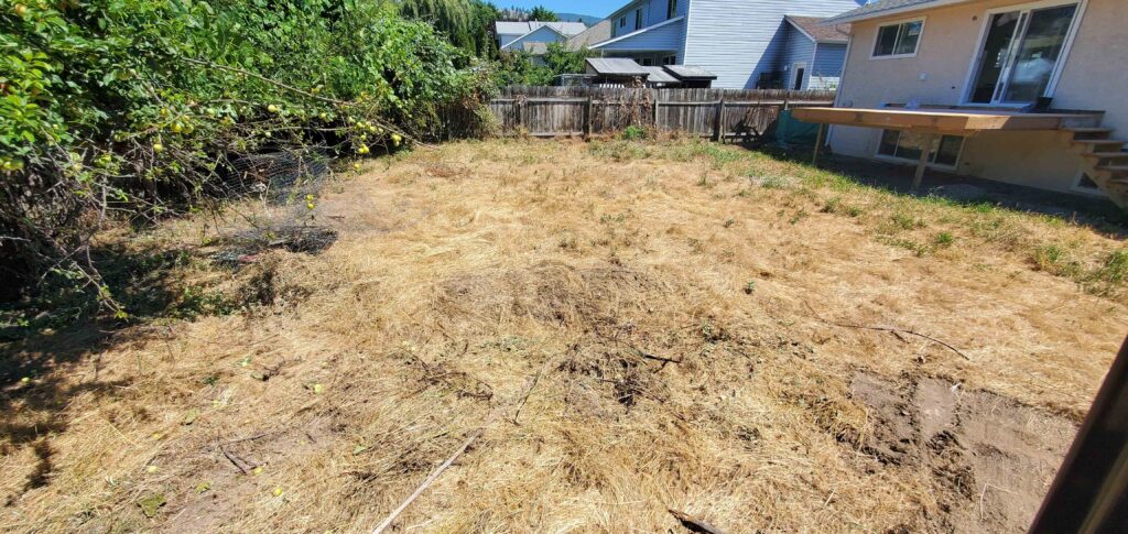 Barnay Contracting - Barcon Yard Cleanup Brush and Stump Removal
