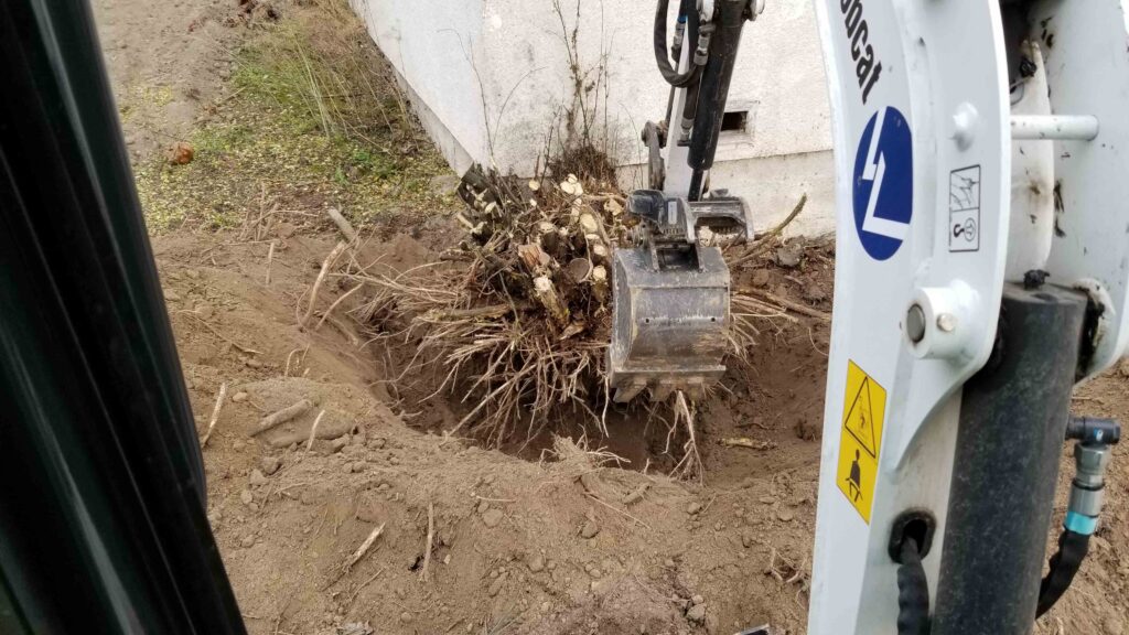 Barnay Contracting - Barcon Yard Cleanup Brush and Stump Removal