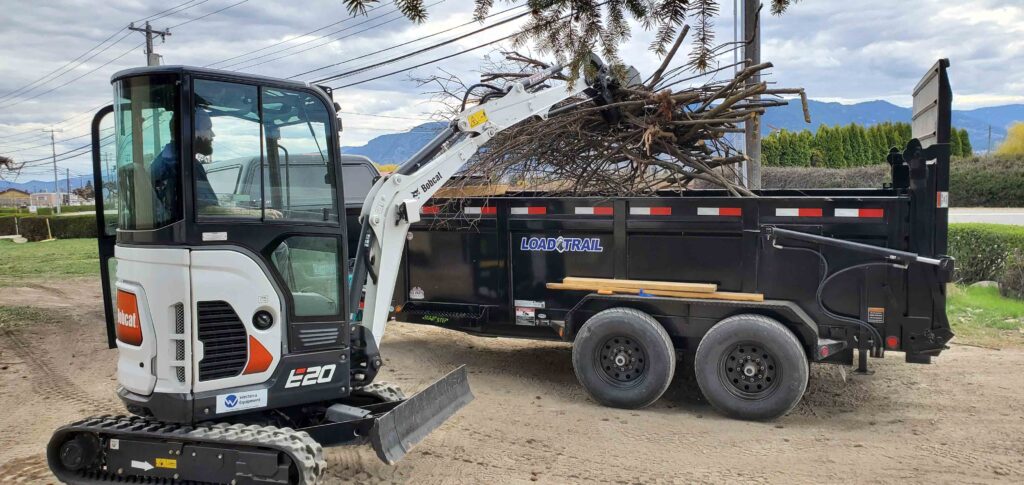 Barnay Contracting - Barcon Yard Cleanup Brush and Stump Removal