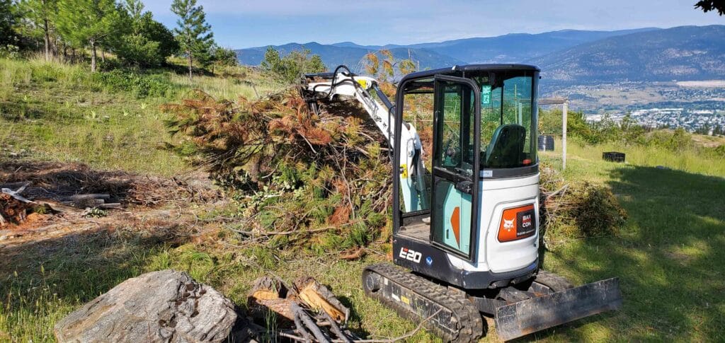 Barnay Contracting - Barcon Yard Cleanup Brush and Stump Removal