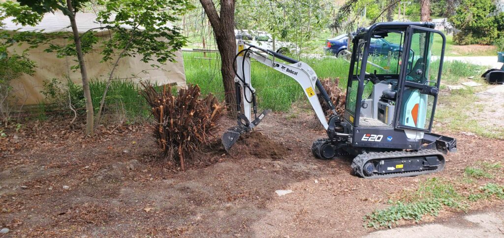 Barnay Contracting - Barcon Yard Cleanup Brush and Stump Removal
